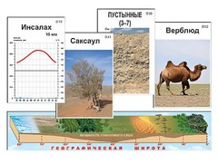 Модель-аппликация "Природные зоны" - fgospostavki.ru - Кубинка