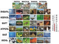 Фенологические наблюдения - fgospostavki.ru - Кубинка