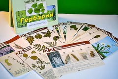 Гербарий к курсу основ общей биологии - fgospostavki.ru - Кубинка