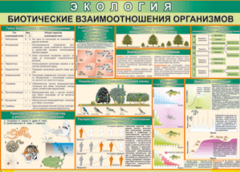 Таблица "Биотические взаимоотношения организмов" (100х140 сантиметров, винил) - fgospostavki.ru - Кубинка