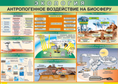 Таблица "Антропогенное воздействие на биосферу" (100х140 сантиметров, винил) - fgospostavki.ru - Кубинка