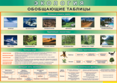 Таблица "Экология. Обобщающие таблицы" (100х140 сантиметров, винил) - fgospostavki.ru - Кубинка