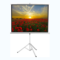 Экран на штативе DSKD-4303 - fgospostavki.ru - Кубинка