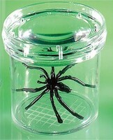 Баночка для изучения насекомых GeoSafari - fgospostavki.ru - Кубинка