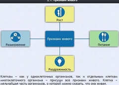 Интерактивные курсы. Биология 5 класс. Базовый - fgospostavki.ru - Кубинка
