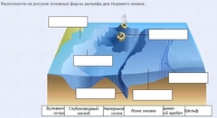 Интерактивные курсы. География 7 класс . Базовый. - fgospostavki.ru - Кубинка
