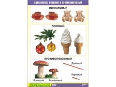 Таблица демонстрационная "Одинаковый, похожий и противоположный" (винил 70x100) - fgospostavki.ru - Кубинка