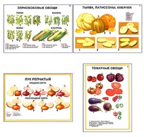 Плакаты ПРОФТЕХ "Ассортимент овощных культур" (12 пл, винил, 70х100) - fgospostavki.ru - Кубинка