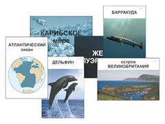 Модель-аппликация "Океаны. Знакомство" (ламинированная) - fgospostavki.ru - Кубинка