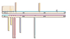 Модель-аппликация "Расстояния во Вселенной" - fgospostavki.ru - Кубинка