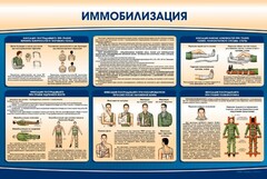 Стенд "Иммобилизация" - fgospostavki.ru - Кубинка