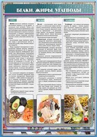 Стенд "Белки. Жиры. Углеводы" - fgospostavki.ru - Кубинка