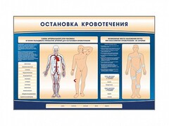 Электрифицированный стенд-тренажер "Остановка кровотечения" - fgospostavki.ru - Кубинка