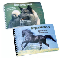 Пособие для слабовидящих - Домашние животные - fgospostavki.ru - Кубинка