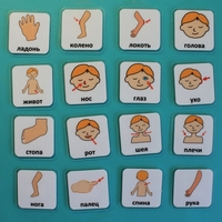 Набор карточек "Части тела" - fgospostavki.ru - Кубинка