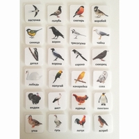 Набор карточек "ПТИЦЫ" - fgospostavki.ru - Кубинка