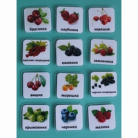 Набор карточек "Ягоды" - fgospostavki.ru - Кубинка