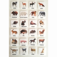 Набор карточек "ЖИВОТНЫЕ" - fgospostavki.ru - Кубинка