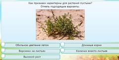Интерактивные курсы. Окружающий мир 3 класс . Базовый. - fgospostavki.ru - Кубинка