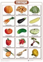 Таблицы "Окружающий мир" (формат А2, ламинированные, 10 таблиц) - fgospostavki.ru - Кубинка
