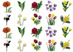 Комплект карточек "Запоминай, играй, считай" - Цветы - fgospostavki.ru - Кубинка