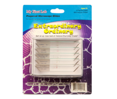 Набор микропрепаратов для микроскопа №3 «Необычное в обычном» - fgospostavki.ru - Кубинка