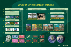 Электрифицированный стенд "Уровни организации жизни" - fgospostavki.ru - Кубинка