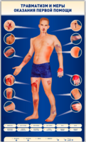 Электрифицированный стенд-тренажер "Травматизм и меры оказания первой помощи" - fgospostavki.ru - Кубинка