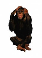 Комплект карточек "Запоминай, играй, считай" - Дикие животные - fgospostavki.ru - Кубинка