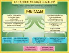 Стенд "Методы селекции и биотехнологии" - fgospostavki.ru - Кубинка