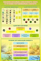 Стенд "Классификация животного мира" - fgospostavki.ru - Кубинка