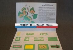 Коллекция "Шелк для начальной школы" - fgospostavki.ru - Кубинка