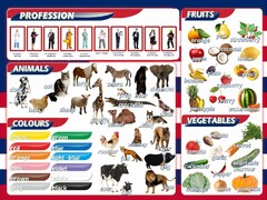 Стенд "Цвета, животные, профессии, фрукты, овощи" - fgospostavki.ru - Кубинка