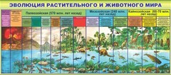 Стенд "Эволюция растительного и животного мира" - fgospostavki.ru - Кубинка