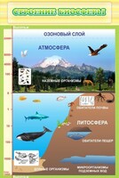 Стенд "Строение биосферы" - fgospostavki.ru - Кубинка