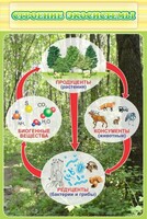 Стенд "Строение экосистемы" - fgospostavki.ru - Кубинка