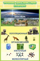 Стенд "Уровни организации живого" - fgospostavki.ru - Кубинка