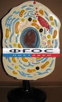 Модель "Клетка животного" - fgospostavki.ru - Кубинка