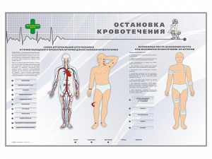 Электрифицированный стенд "Остановка кровотечения" - fgospostavki.ru - Кубинка