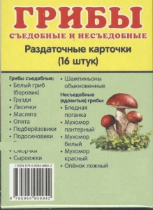 Раздаточные карточки "Грибы съедобные и не съедобные" - fgospostavki.ru - Кубинка