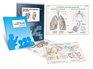 Комплект кодотранспарантов "Человек и его здоровье. Дыхание" - fgospostavki.ru - Кубинка