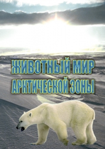 DVD "Животный мир Арктической зоны" - fgospostavki.ru - Кубинка