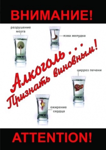 DVD "Алкоголь. Признать виновным" - fgospostavki.ru - Кубинка