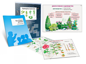 Комплект кодотранспарантов "Культурные растения" - fgospostavki.ru - Кубинка