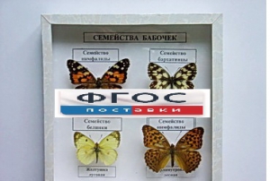 Коллекция "Семейство бабочек" - fgospostavki.ru - Кубинка