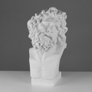 Бюст Лаокоона (гипс) - fgospostavki.ru - Кубинка