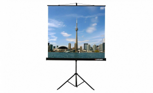 Проекционный экран на штативе Lumien Eco View (LEV-100105) 160x160 см - fgospostavki.ru - Кубинка