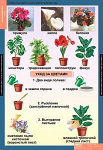 Комплект таблиц. Окружающий мир 1 класс. - fgospostavki.ru - Кубинка