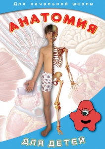 DVD "Анатомия для детей" - fgospostavki.ru - Кубинка