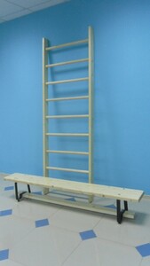 Стенка гимнастическая шведская премиум (1000х3200 мм) - fgospostavki.ru - Кубинка